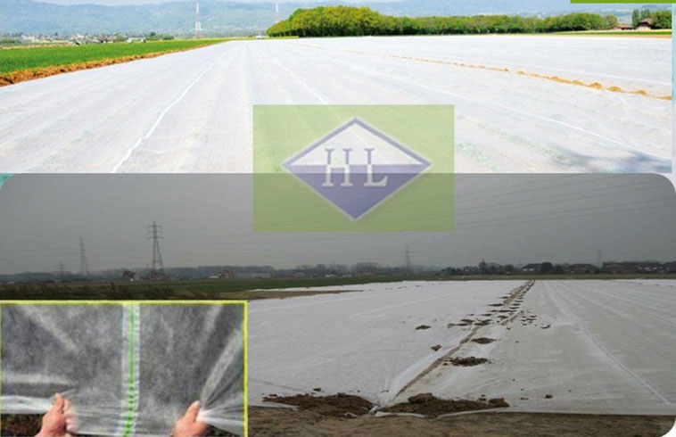 UV resistance pp nonwoven fabric UV resistance pp nonwoven fabric