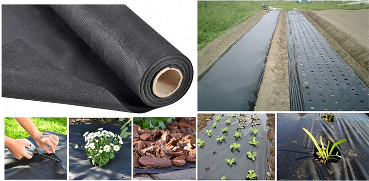 Agriculture crop ground cover textile Agriculture crop ground cover textile